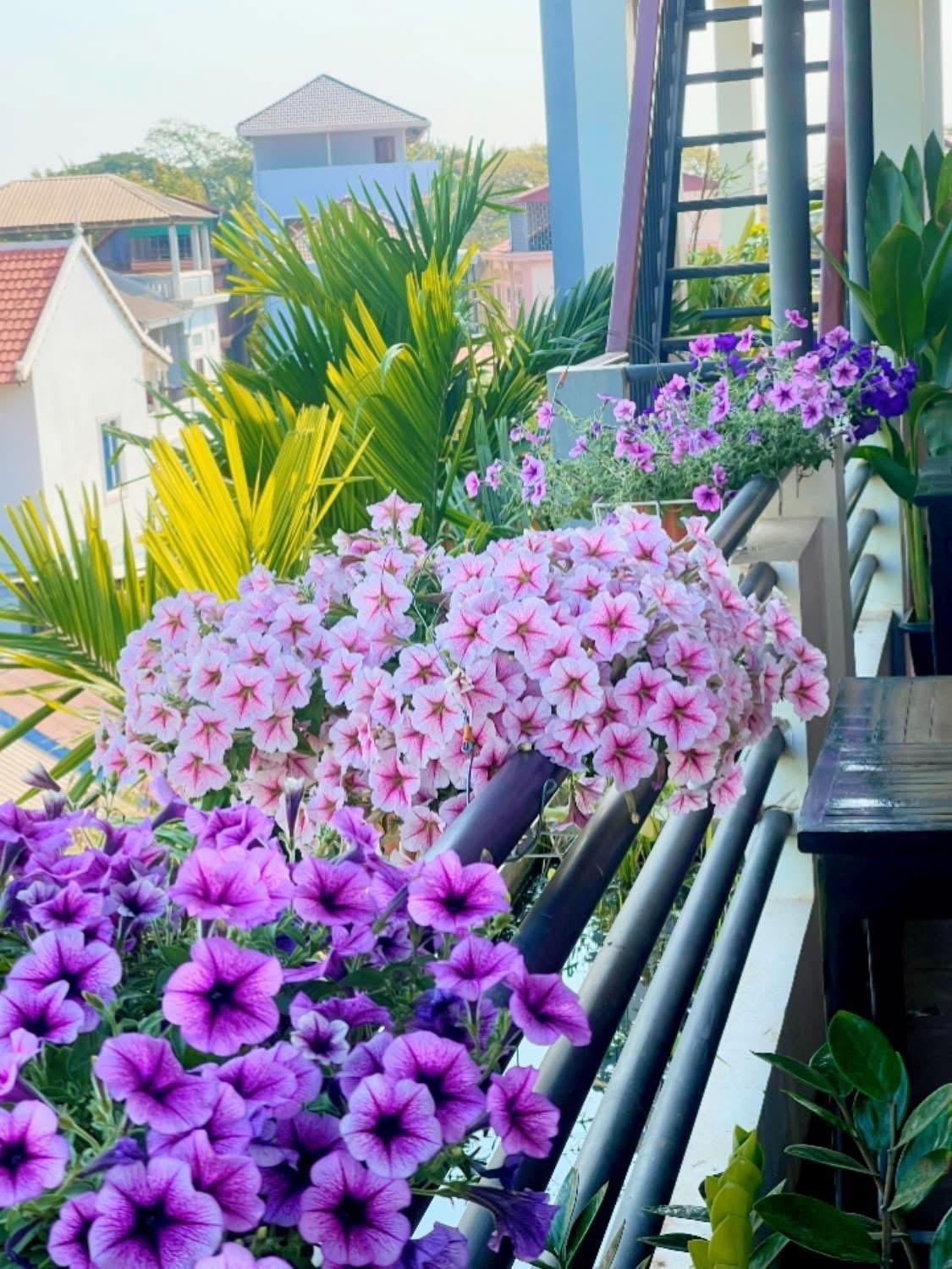 Sunset View Guest House Ciudad de Siem Riep Exterior foto